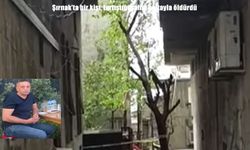Şırnak’ta baltalı cinayet