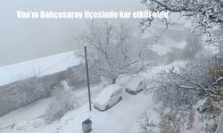 Van'ın Bahçesaray ilçesinde kar etkili oldu