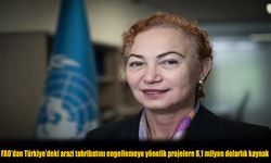 FAO Türkiye’de Arazi Tahribatını Önlemek İçin 8,1 Milyon Dolar Kaynak Sağladı
