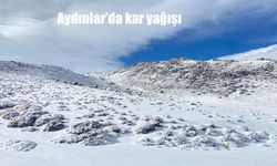 Aydınlar'da kar yağışı