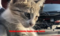 Soğuk Havada Sürücülere Uyarı: ‘Kontağı Çevirmeden Kaputa Vurun’