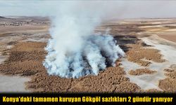 “Kuş Cenneti” Gökgöl’de Yangın: Kuruyan Sazlıklar 48 Saattir Yanıyor