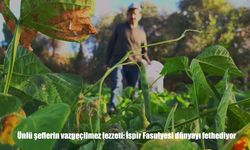 Dünyanın Yeni Gurme Trendi: İspir Fasulyesi Şeflerin Favorisi Oldu