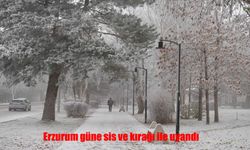 Erzurum’u Sis ve Kırağı Kapladı: Kentte Görüş Mesafesi Düştü