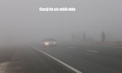 Elazığ’da sis etkili oldu