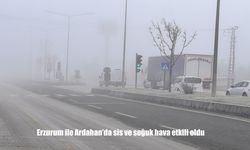 Erzurum ile Ardahan'da sis ve soğuk hava etkili oldu