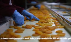 Zirai donun vurduğu coğrafi işaretli Malatya kayısısında hedef 300 milyon dolar gelir