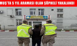 Muş’ta hakkında 5 yıl kesinleşmiş hapis cezası bulunan şahıs yakalandı