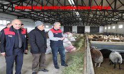 Elazığ’da Devlet Desteğiyle 120 Başlık Modern Küçükbaş Çiftliği Kuruldu