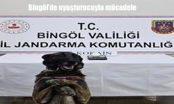 Bingöl’de uyuşturucuyla mücadele