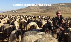 Gercüş’te göçerlerin zorlu yolculuğu