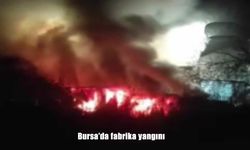 Bursa’da fabrika yangını: Ekiplerin alevlerle mücadelesi sürüyor