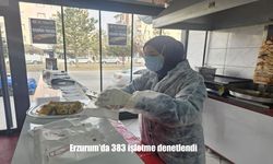 Erzurum’da 383 işletme denetlendi