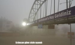 Erzincan güne sisle uyandı