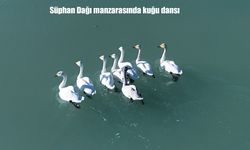 Süphan Dağı manzarasında kuğu dansı