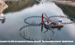 Diyarbakır’dan dünyaya lezzet yolculuğu: 500 tonluk tesiste üretilen “Mezopotamya somonu” ihraç edilecek