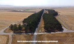 Kars’ta bozkırın ortasındaki vaha havadan görüntülendi