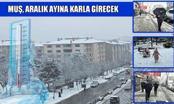 Muş, aralık ayına karlı giriş yapıyor: İşte ilçe ilçe hava tahmin raporu
