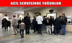 Muş'ta havalar soğudu, acil servisler doldu!
