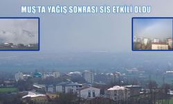Muş sis altında: Görüş mesafesi 30 metreye düştü