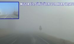 Muş'u sis kapladı: Görüş mesafesi 10 metreye düştü