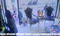 Böcek ailesinin ölümünde yeni rapor: Yiyeceklerde uygunsuz madde bulunmadı