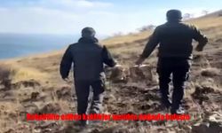 Rehabilite Edilen Keklikler Yeniden Doğada