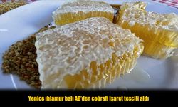 Avrupa Yenice Balını Seçti! AB’den Resmi Onay Geldi