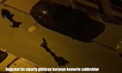 Bağcılar’da sipariş götüren kuryeye kemerle saldırdılar