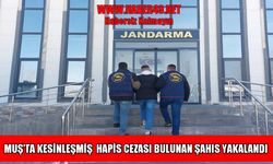 Muş'ta 4 yıl hapis cezası bulunan firari şahıs yakalandı