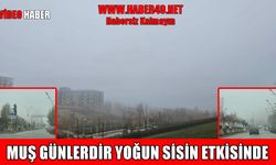 Muş’ta yoğun sis ulaşımı olumsuz etkiledi