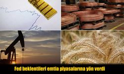 Bu Haftanın Sürprizi Gümüş Oldu: Yatırımcı Neyi Fark Etti?