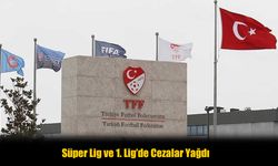 PFDK, Süper Lig'den 5 kulübe para cezası verdi