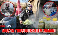 Muş'ta lahana turşusu ve çorti geleneği sürüyor