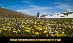 Bitki Bazlı Yatırımlar Türkiye’de Hızlanıyor, Regülasyon Bekleniyor