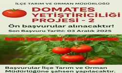 Muradiye’de “Domates Yetiştiriciliği” Projesi İçin Başvurular Başladı