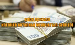 BDDK haftalık raporu açıkladı: Krediler artışta, mevduatlar geriledi