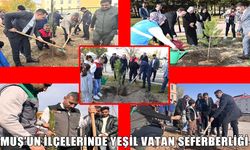 Milli Ağaçlandırma Günü: Muş’un ilçelerinde fidanlar toprakla buluştu