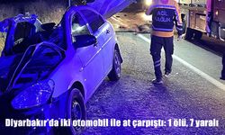 Diyarbakır’da iki otomobil atla çarpıştı: 1 ölü, 7 yaralı