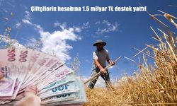 Üreticiye büyük destek: 1,5 milyar TL tarımsal ödeme çiftçilerin hesabına yattı