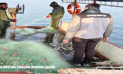 Van Gölü’nde balıkçılık faaliyetlerine kapsamlı denetim