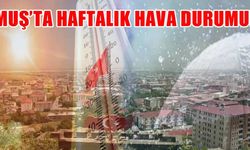 Muş'ta bu hafta havalar nasıl olacak? Sıcaklıklar düşüyor mu?