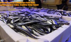 Trabzon’dan Erzincan’a Günlük Taze Balık Akını: Vatandaşların İlgisi Yoğun, Tezgâhlar Dolup Taşıyor