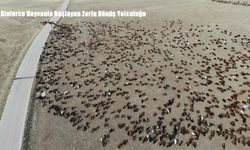 Kars’ta Göçerlerin Zorlu Yolculuğu Başladı: Soğuk Hava ve Zorlu Arazi Mücadeleleri