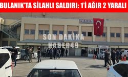 Bulanık’ta iki kardeşe silahlı saldırı!