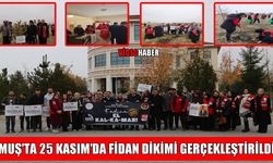 Muş’ta fidanlar ‘Şiddetsiz Bir Dünya’ için toprakla buluştu