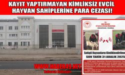 Muş’ta sahipli hayvanların kimliklendirilmesi için kritik uyarı: Para cezası var!