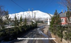 Süphan’ın eteklerinde kartpostallık belde: Aydınlar