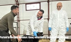 Pertek'te kırsala bereket: Genç veterinere hayvancılık desteği