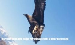 Kartal dronu kaptı, dağın zirvesine bıraktı: O anlar kamerada